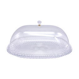 Plastic Tray with Lid