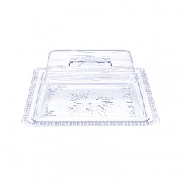Plastic Tray with Lid